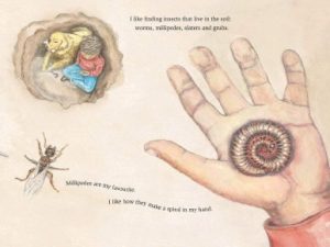 Illustration of a curled up millipede in a childs open palm