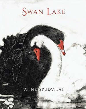 Cover of a book with a black swan and a white swan hugging